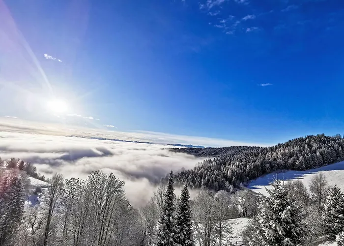 Urban & Florian-5 By Interhome Zirkitz